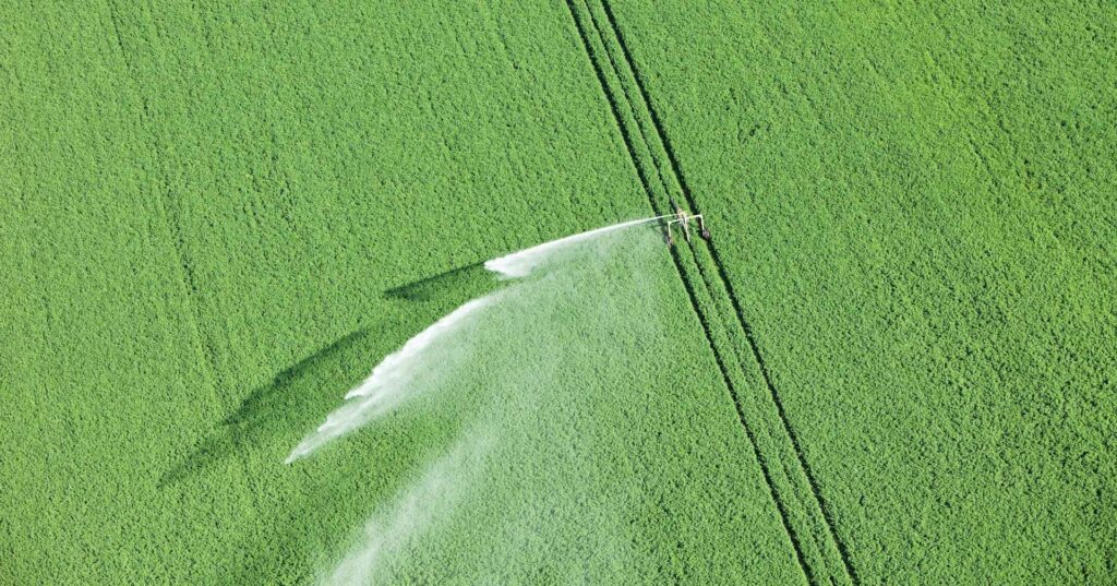 water reel irrigation system in farmer's field