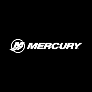 Mercury black